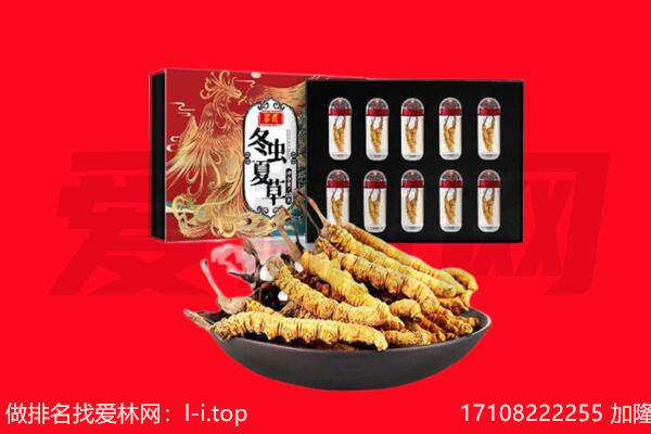 本溪市回收虫草.jpg